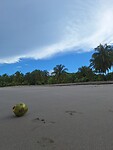20240725_082909