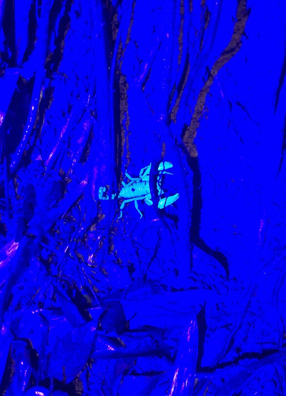 20260729_191902