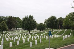 Arlington2