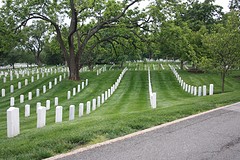 Arlington3