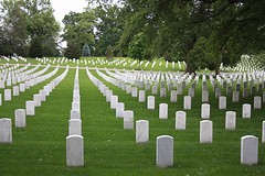Arlington6