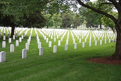 Arlington7