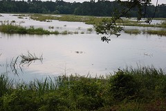 IMG_0004