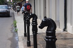 IMG_0013
