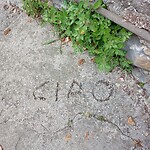 20230629_142848