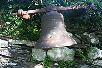 IMG_2221