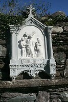 IMG_2224
