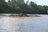 IMG_2228