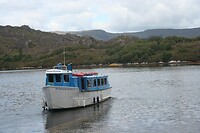 IMG_2231