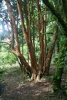 IMG_2233