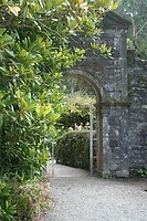IMG_2235