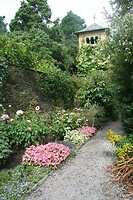 IMG_2236