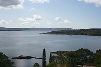 IMG_2239