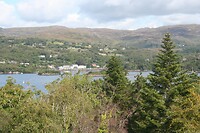 IMG_2240