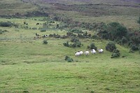 IMG_2257