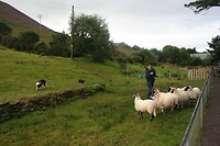 IMG_2262