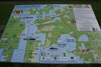 IMG_2266