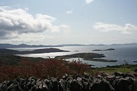 IMG_2277