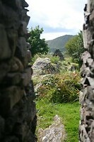 IMG_2283