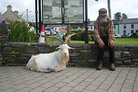 IMG_2287