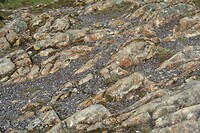 IMG_2291