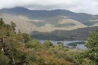 IMG_2292