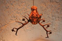 IMG_2304