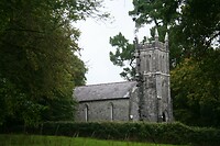 IMG_2317