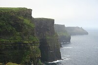 IMG_2328