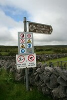 IMG_2338