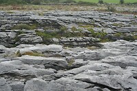 IMG_2344