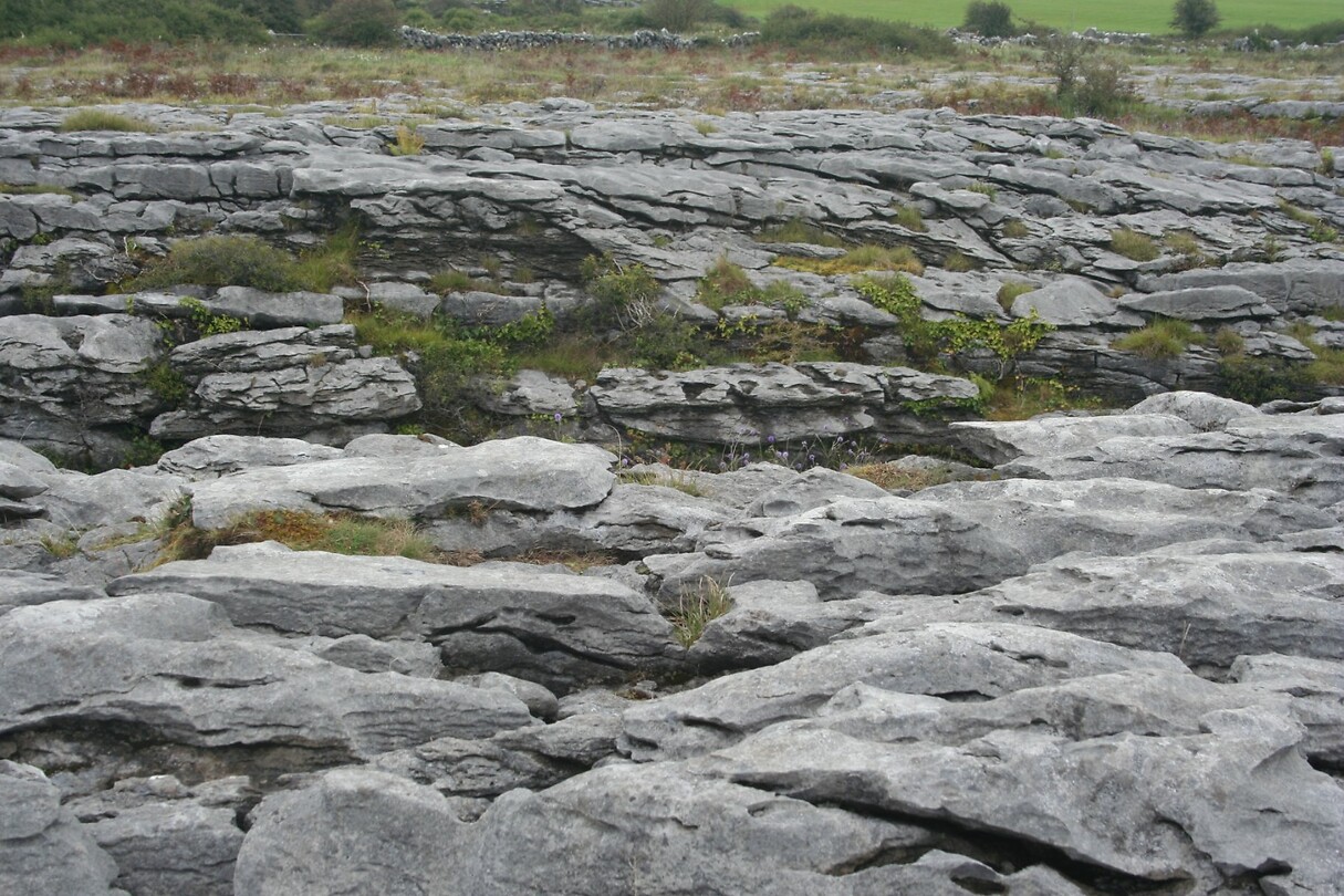 IMG_2344
