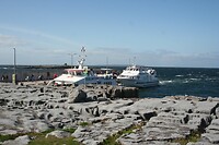 IMG_2366