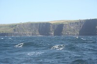 IMG_2374