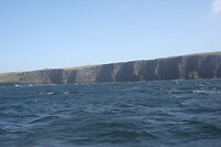 IMG_2375