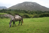 IMG_2418