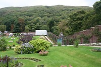 IMG_2419