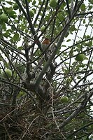 IMG_2423