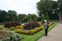 IMG_2429