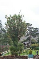 IMG_2432