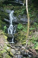 IMG_2439