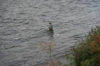 IMG_2466