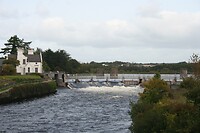 IMG_2467