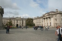 IMG_2494