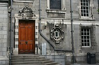 IMG_2495