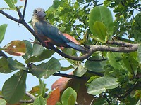 P1040640