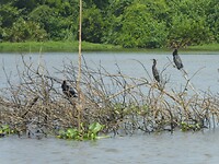 P1040654