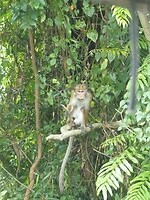 P1040675