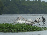P1040679