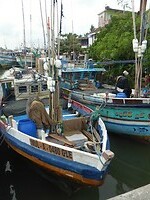P1040704